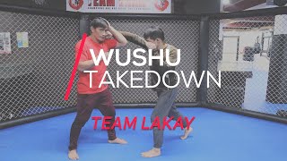 WUSHU  Takedown Technique with Eduard  The Landsli