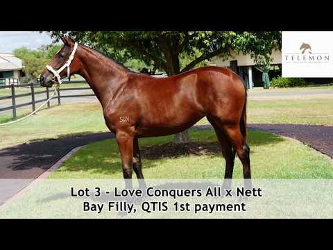 Magic Millions 2019 GC March - Lot 3 - Love Conquers All x Nett