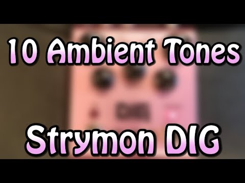 10 Ambient Tones | Strymon DIG | Digital Dual Delay