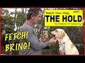 Teach Your Dog To Retrieve Part 1 The HOLD The BASICS To FETCH Or BRING Dog Training Video