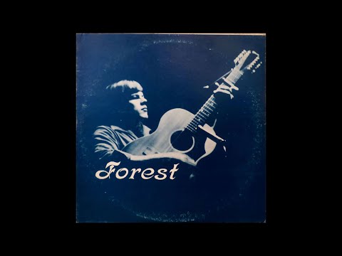 Steve Forest - A Man Is What He Answers To His Name [1960s Folk]