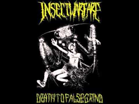 Insect Warfare-Disassembler