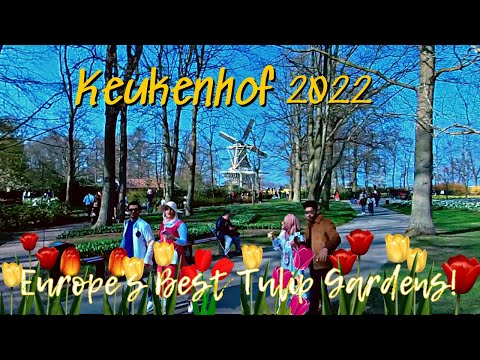 KEUKENHOF GARDENS SPRING 2022 | Europe's BEST TULIP Gardens | Places to Visit in The Netherlands