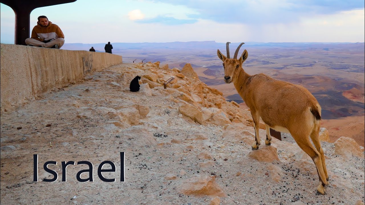 Israel: A Journey Through a Thunderstorm to the Red Sea via the Negev Desert.