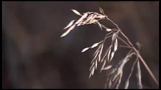 О чём шла речь с главой региона