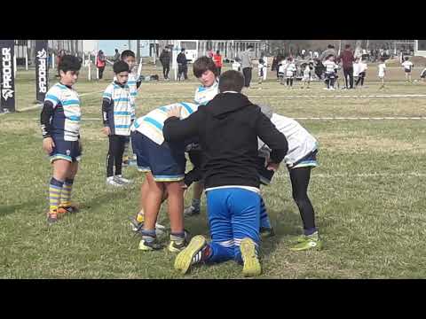 del sur rugby m10