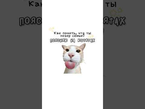 Как понять что ты позор семьи ?