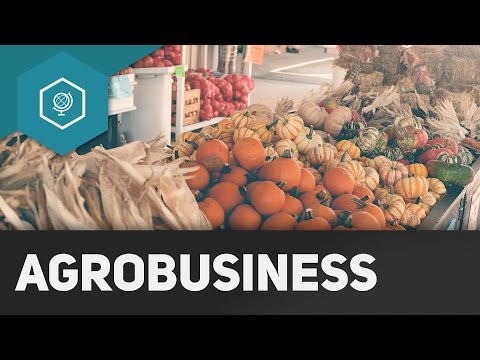 What is Agribusiness? - Agriculture in Industrialized Countries 3