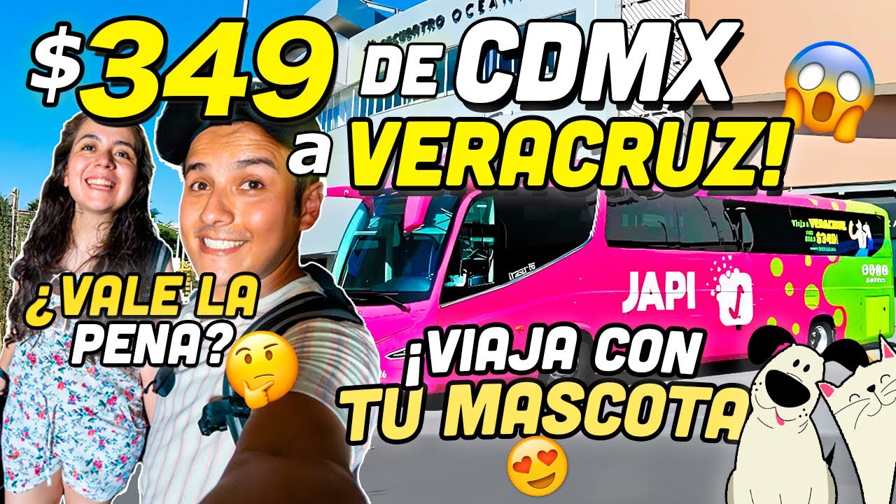 VIAJAMOS a VERACRUZ por $349 PESOS desde CDMX! 😱🚌 NUEVOS autobuses JAPI –¿Es el más BARATO?🤔 #viajes
