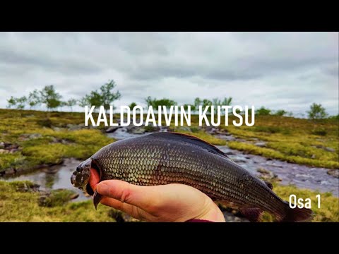Kaldoaivin kutsu - Call of the Wilderness 1 (4K Eng subs.)