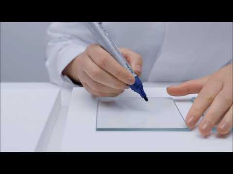 Checking Surface Tension video preview
