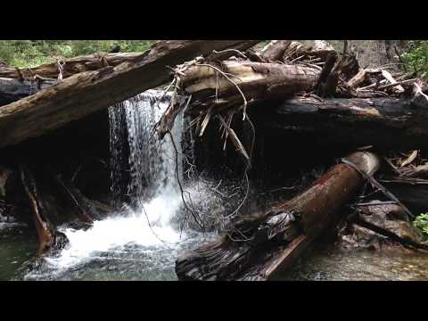 Return, by Robinson Jeffers