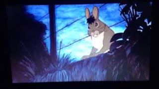 Watership down 1978 clip 1:leaving sandleford warren