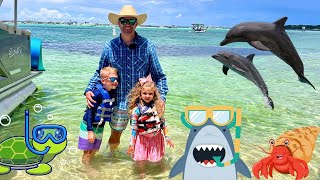 Cowboy Jack's Dolphin Tour Adventure! 🐬 Sea Turtles, Sharks, Crabs & More at Crab Island!