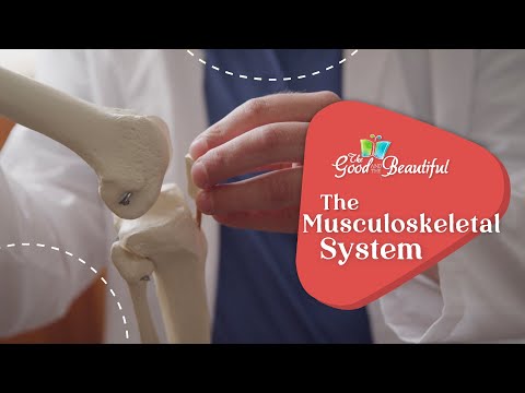 The Musculoskeletal System | Health and the Physical Body | The Good and the Beautiful