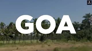 VOSAP at International Purple Fest Goa , 2024