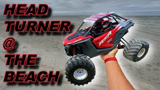 Losi RZR Rey RC Side-by-Side Beach Bash