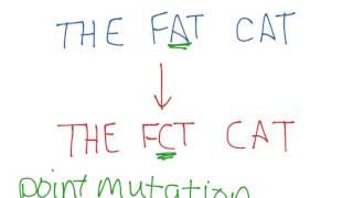 Mutation Effects (worked example)