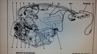 4T65E Automatic Transmission Problem Shooting Faults OBD OBD2 Test