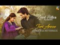 Zard Patton Ka Bunn OST Teri Arzoo Singer Zaw Ali Sohail Shehzad HUM TV