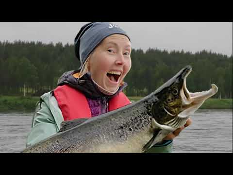 Pariskunnan päiväretki lohijoelle