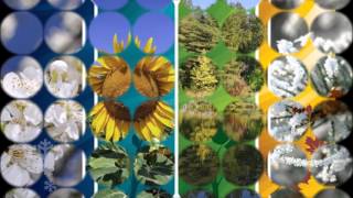 January Man......Christy Moore