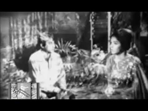 Aap Ko Bhool Jayen Ham, Itnay To Bewafa Nahin