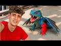 I Rescued This Wounded Dragon I Found In The Jungle AI Vlog