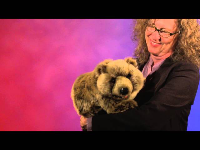 Video Teaser für Folkmanis® Grizzly Bear Puppet Demo