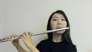 Download lagu Luis Fonsi - Despacito ft. Daddy Yankee-----Flute cover by Fanny mp3