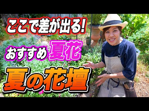 太陽の下で花は何の花でしょう ゼラニウム キンレンカ ペチュニア
