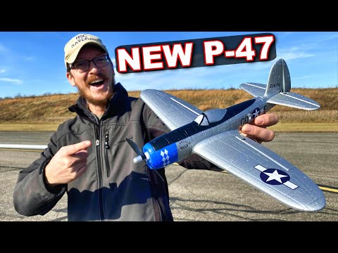 BRAND NEW Ready to Fly WARBIRD!! Top RC Hobby P47 Mini Warbird