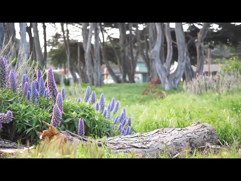 youtube embeded image