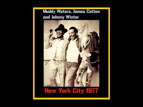 Muddy Waters, James Cotton and Johnny Winter - New York City 1977  (Complete Bootleg)