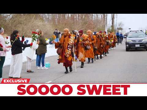 So Sweet — Buddhist Monks Walked By and Something Softened in the Air