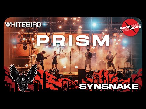 Prism - Synsnake | Live at ROCKFEST 2023 - WHITEBIRD