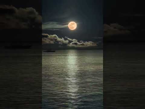 ❤️ New WhatsApp Status 2022 ❤️ Status Video❤️ Good NightStatus ❤️ Silent Song WhatsAppStatus