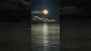 Download lagu ❤️ Status WhatsApp Baru 2022 ❤️ Status Video ❤️ Status Selamat Malam ❤️ Status WhatsApp Lagu Sunyi mp3