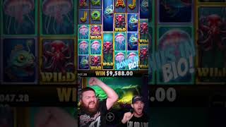 BIG WIN!! bigwin money casino casinogames slots glamping Video