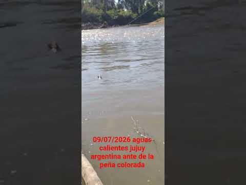 #para ti #fyp   #pesca deportiva #aguas calientes #jujuy #amigos