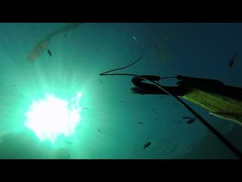 Carmel Olive bottom shot