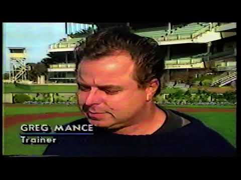 Preview of 1991 Caulfield Carnival