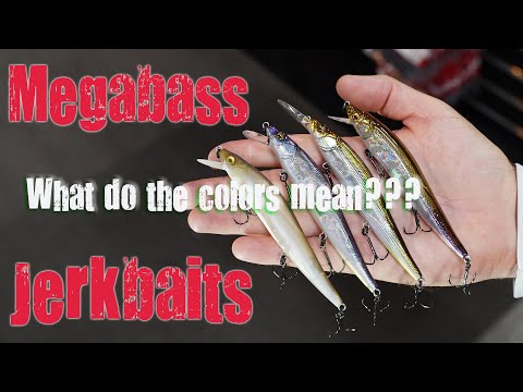 Breaking Down Megabass Jerkbait Color Codes! What Do They Mean?!