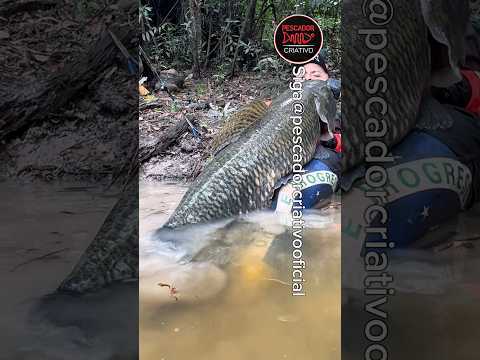 A LENDA DO TRAIRÃO GIGANTE É VERDADE😱AGORA EU ACREDITO😳