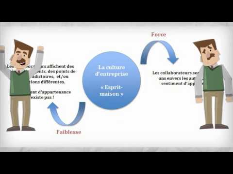pourquoi la culture d'entreprise