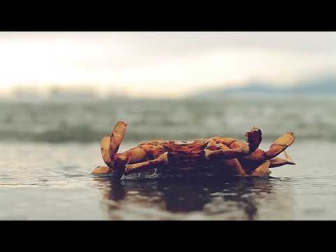 IKAR & Szulinio - Pogoda ducha