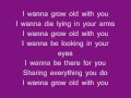 Dj Cammy I Wanna Grow Old With You Lyrics HQ ...