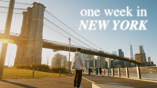 One week in new york