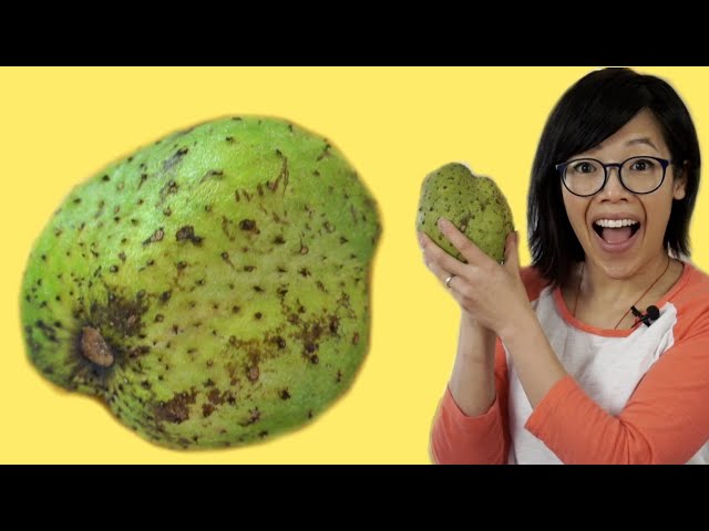 Videouttalande av soursop Engelska