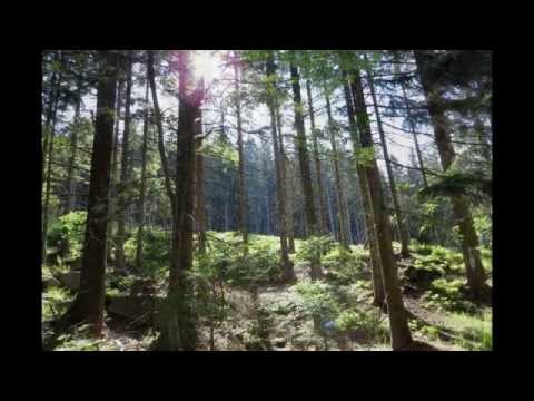 download lagu mp3 mp4 Powershot Sx50 Hs Sample Images, download lagu Powershot Sx50 Hs Sample Images gratis, unduh video klip Powershot Sx50 Hs Sample Images